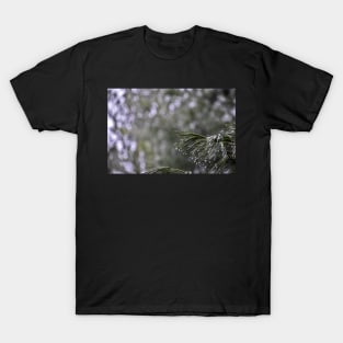 Pine Branch Border T-Shirt